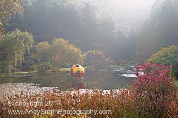 Misty Fall Morning at the Pond